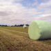 Silage Film