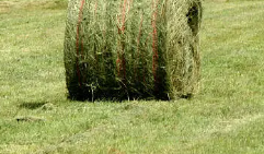 baling twine